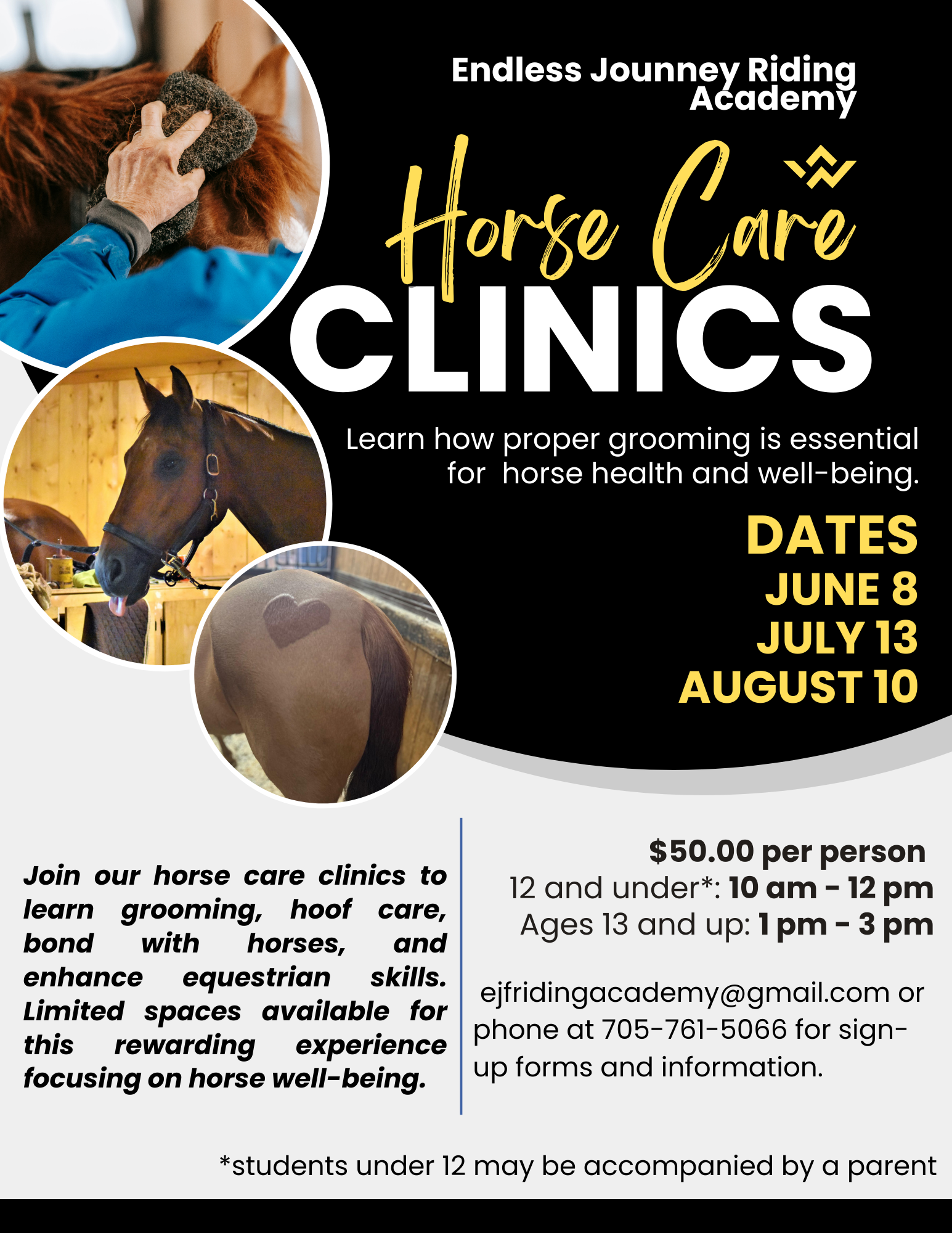 HorseGroomingClinic